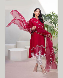 Red Ready to wear Salwar Suit