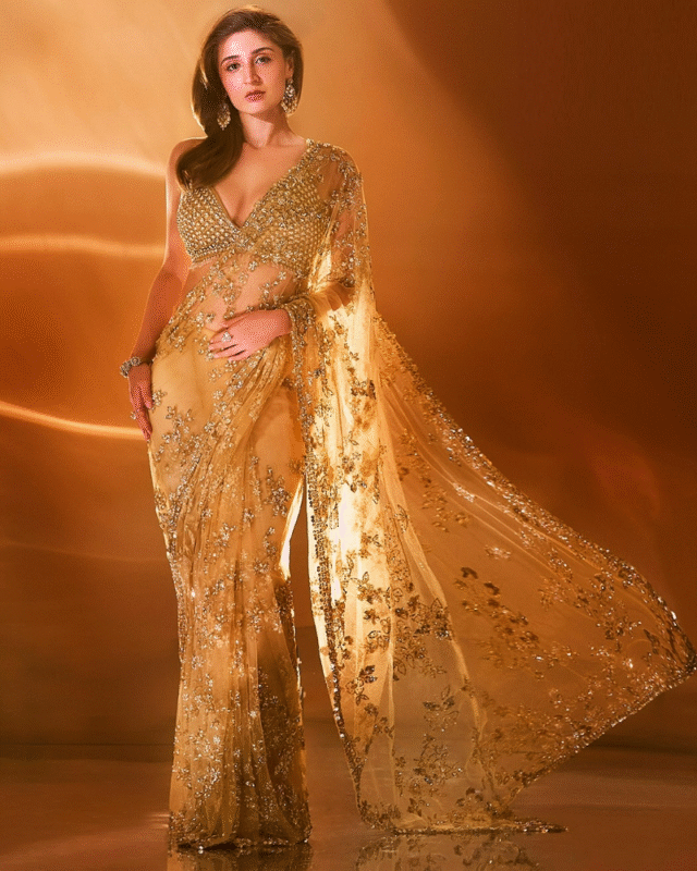 Heavy Nylone Butterfly Net Fancy Multy Bollywood Style Saree