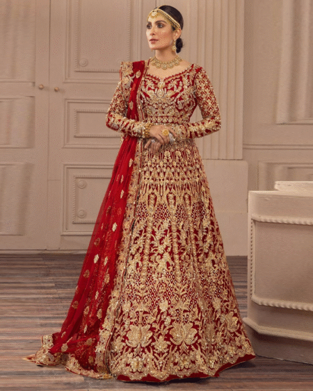 Indian Wedding Pure Butterfly Net Anarkali Style Gown